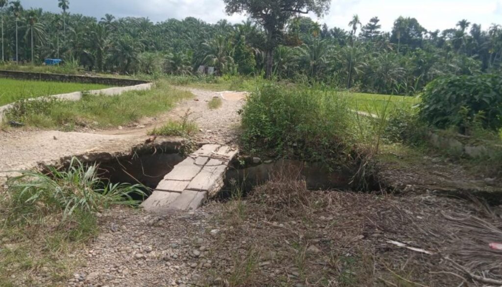 Jalan Tembus Desa Hapung Torop Menuju Harang Julu Butuh Perbaikan Jalan