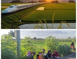 Ritual Petang Warga Menanti Senja di Tepi Sawah, Menunggu Kereta Melintas