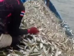 Pelindo Regional 1 Bawa Harapan Baru bagi Nelayan Batu Bara