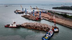 Pelindo Multi Terminal Catat Kinerja Positif pada Semester I 2026