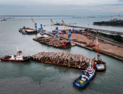 Pelindo Multi Terminal Catat Kinerja Positif pada Semester I 2026