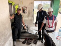 Kodaeral I Ungkap Pencurian Kabel Reefer di BNCT Belawan