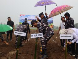 Dari Tangan Prajurit, Tumbuh Harapan: Kodaeral 1 Tanam Kedelai, Semai Ketahanan Pangan